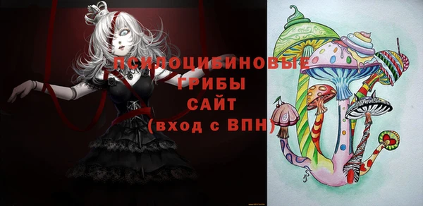 гидра Алексин