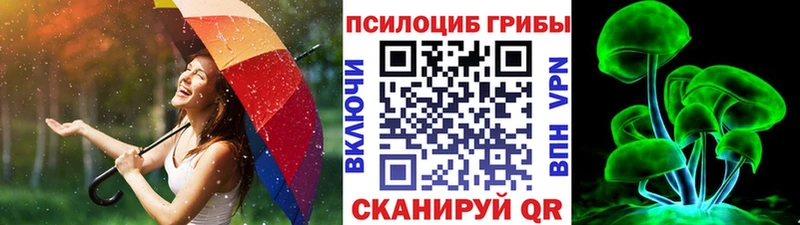 Псилоцибиновые грибы Cubensis  где купить наркоту  Оренбург 