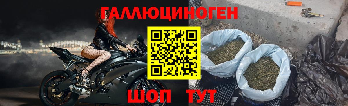 Галлюциногенные грибы мицелий Оренбург