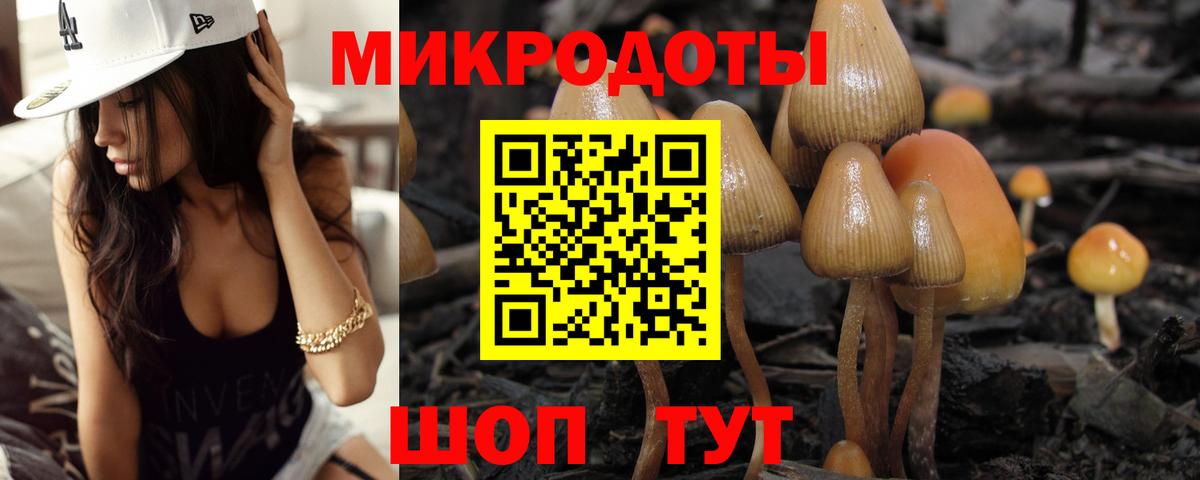 Галлюциногенные грибы прущие грибы  Вход с VPN  Оренбург 